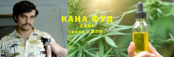 сатива Новодвинск