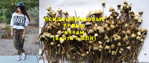 мяу мяу кристалл Елизово