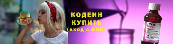 бошки Няндома