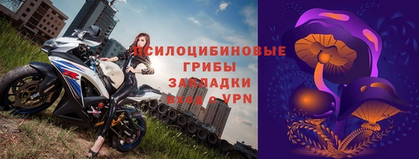 бошки Няндома