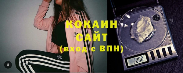 бошки Няндома