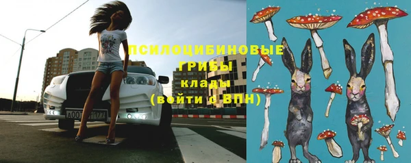 бошки Няндома