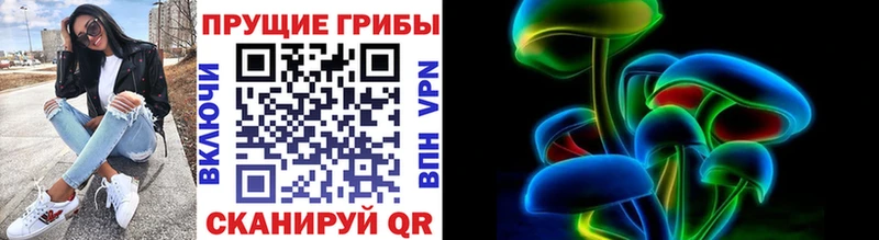кракен как войти  Салехард  shop какой сайт  Псилоцибиновые грибы GOLDEN TEACHER 
